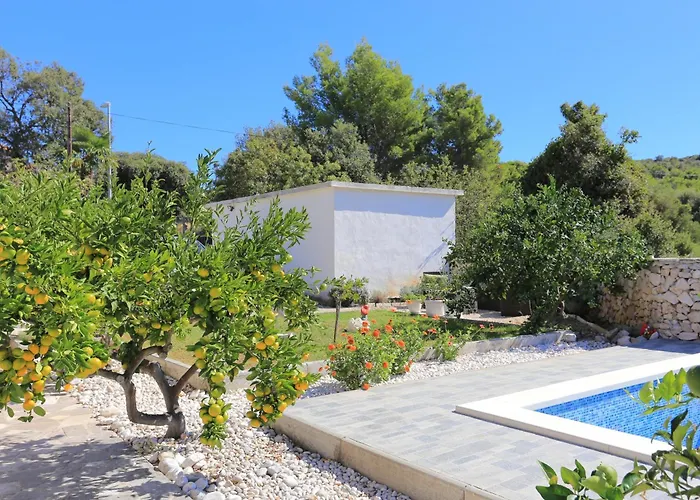 Family-friendly With Swimming Pool Razanj, - 17867 Daire